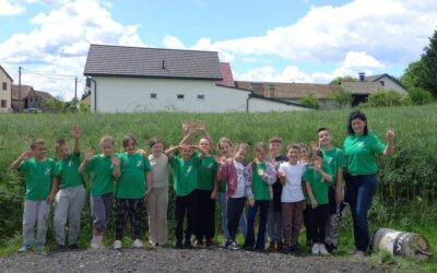 Terenska nastava 3. a na OPG-u „Čagran“