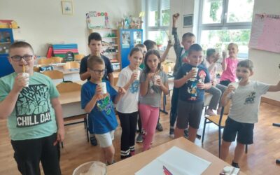 Smoothie u razredu za kraj razrednog projekta