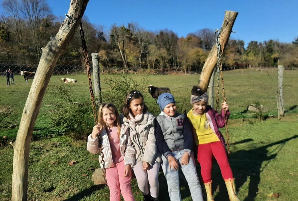 Pošumljavanje bespilotnom letjelicom