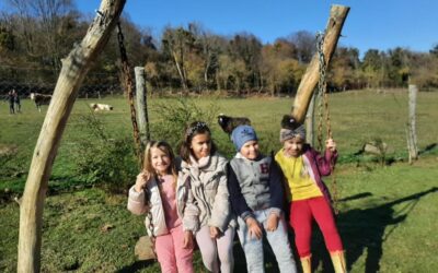 Pošumljavanje bespilotnom letjelicom