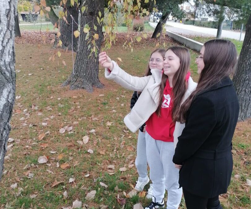 Fenološka kampanja GLOBE grupe