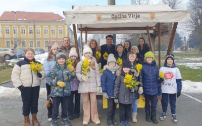 U Virju obilježen 19. Dan mimoza