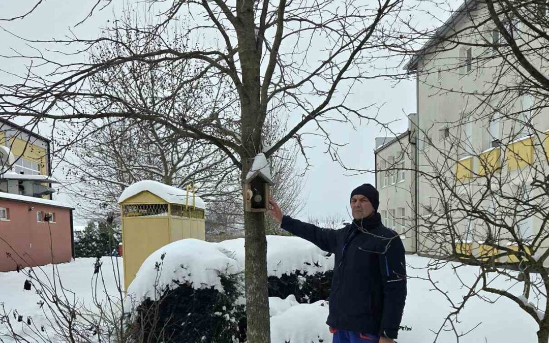 Briga o pticama tijekom hladnih zimskih dana