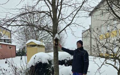 Briga o pticama tijekom hladnih zimskih dana