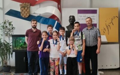 Školsko natjecanje u šahu